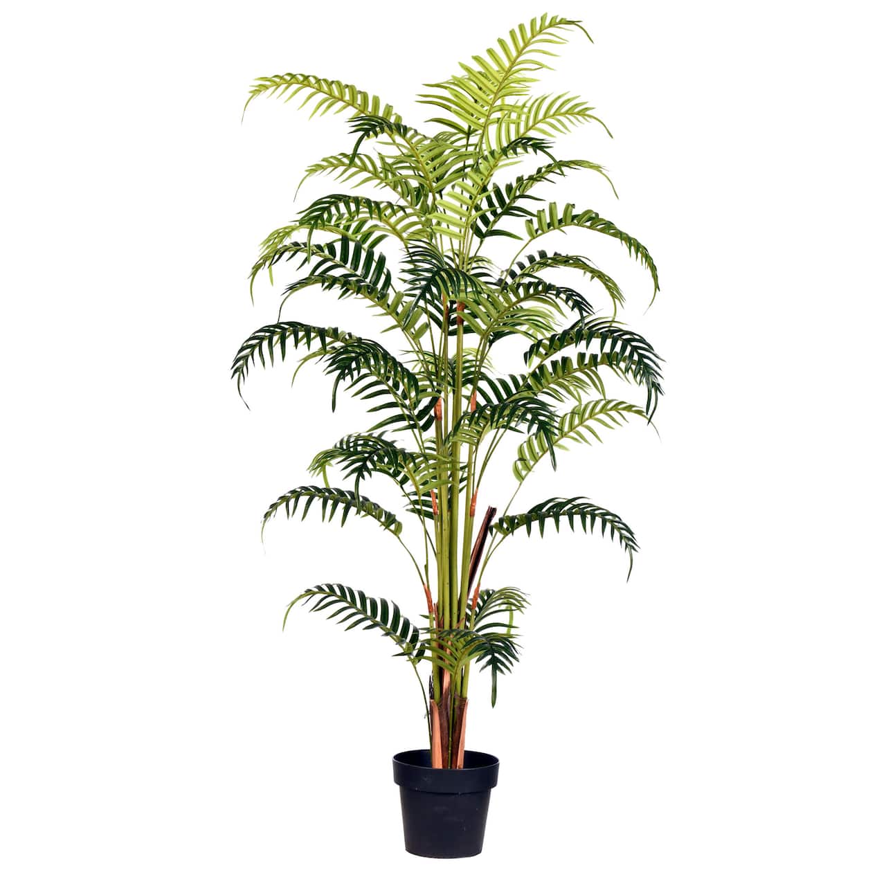 5ft. Artificial Potted Fern Palm with Real Touch Leaves